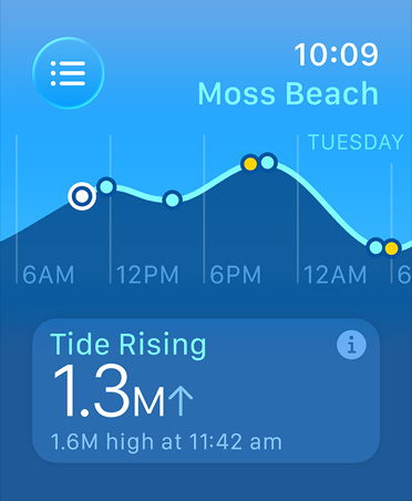 Tides app, metrics: high and low tides, rising and falling tides, line graph estimating times and tide points